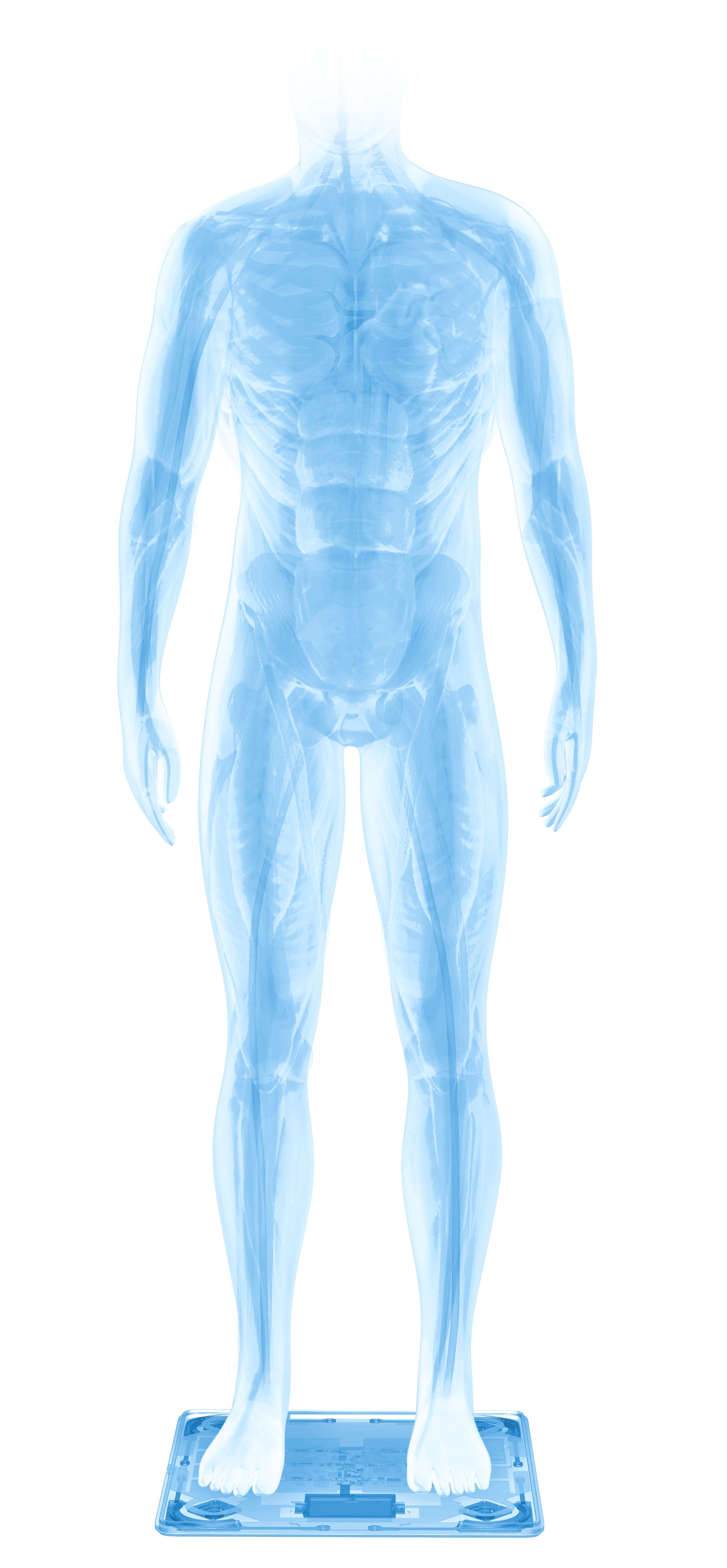 Body Compositon - Water | Withings